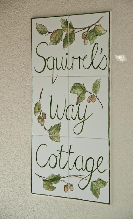 Squirrels Way Cottages ケープタウン エクステリア 写真